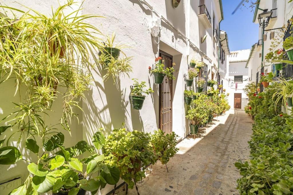 Casa Con Patio Y Terraza En Barrio Historico De La Villa, Junto Al Adarve Priego de Córdoba Εξωτερικό φωτογραφία