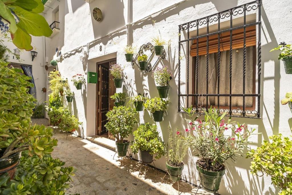 Casa Con Patio Y Terraza En Barrio Historico De La Villa, Junto Al Adarve Priego de Córdoba Εξωτερικό φωτογραφία